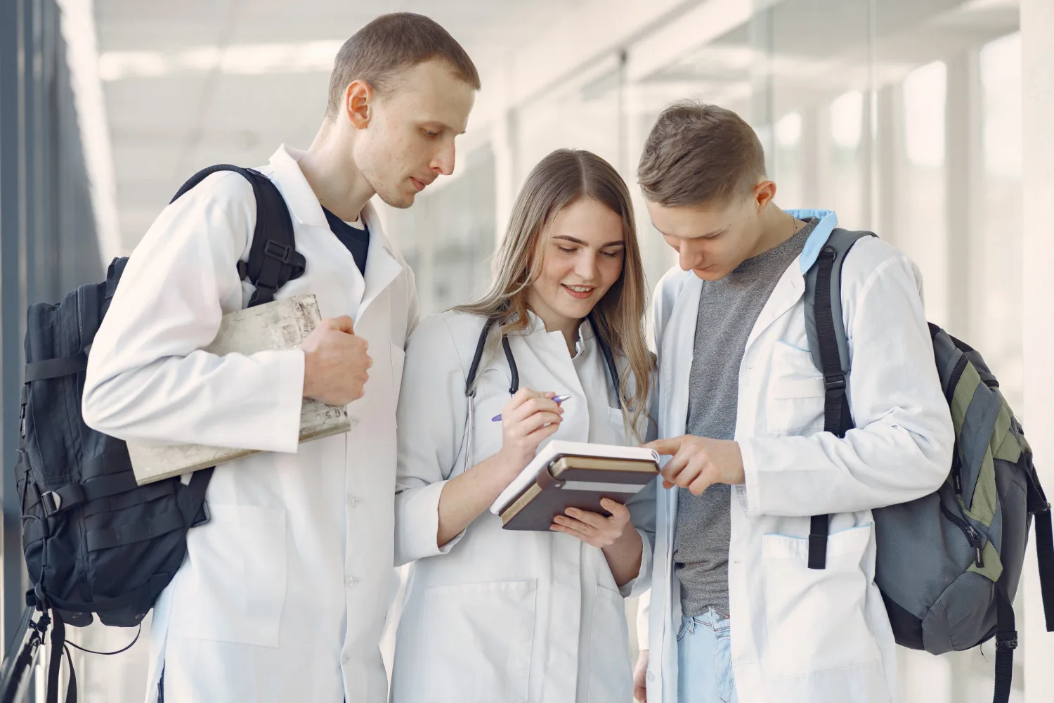 Bachelor degrees in healthcare